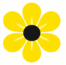 Yellow Bloom LLC
